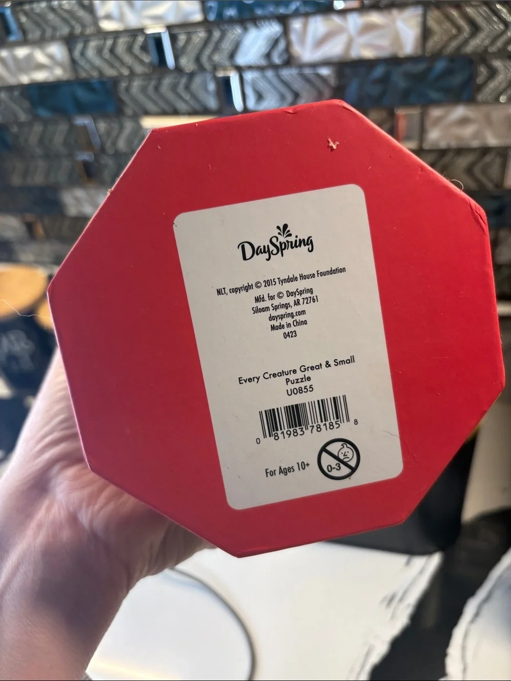 DaySpring Colorful Dog-Themed Decorative Tin - Multi Color